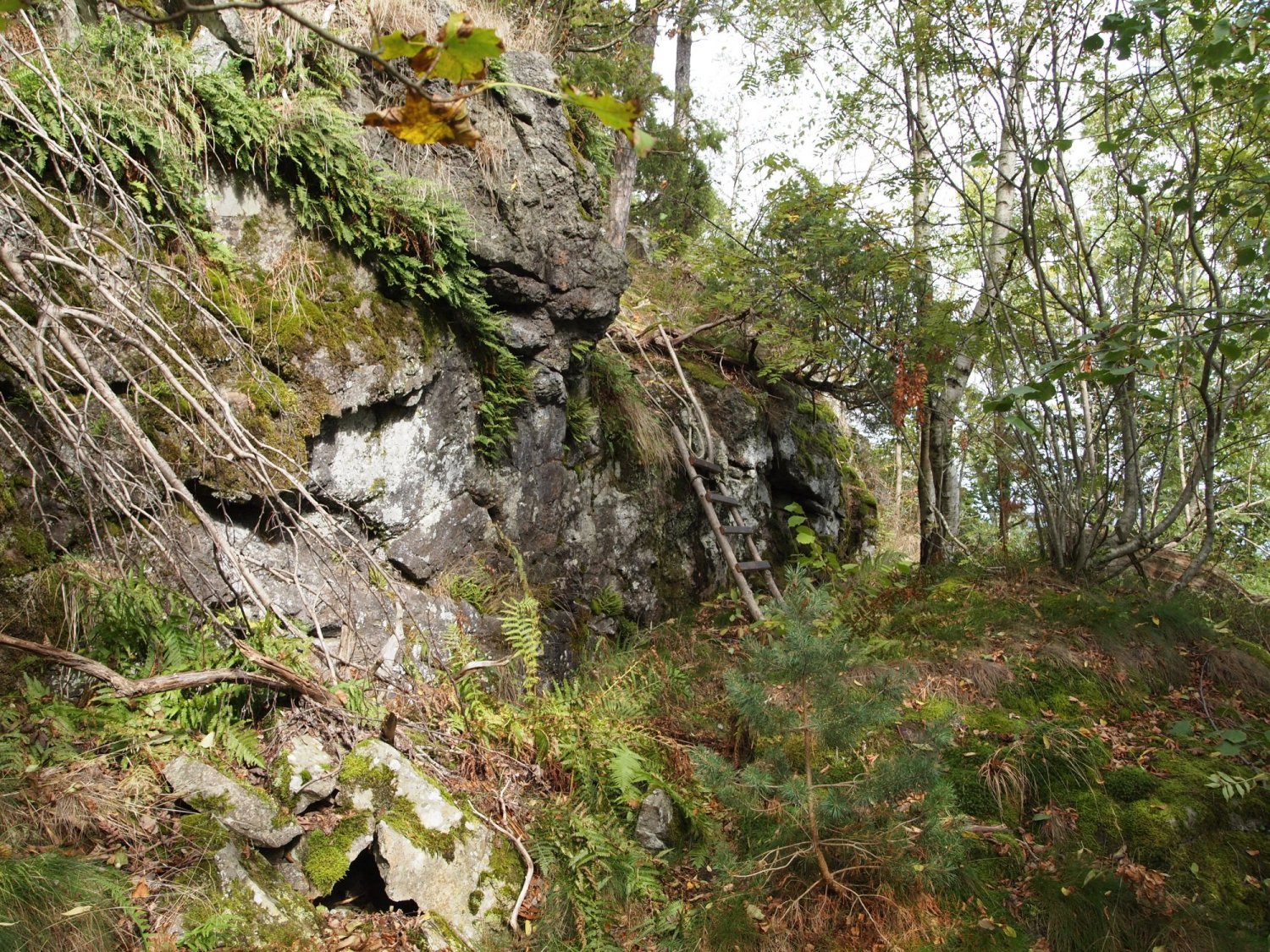 On Løvøya, steep terrain in almost untouched environment